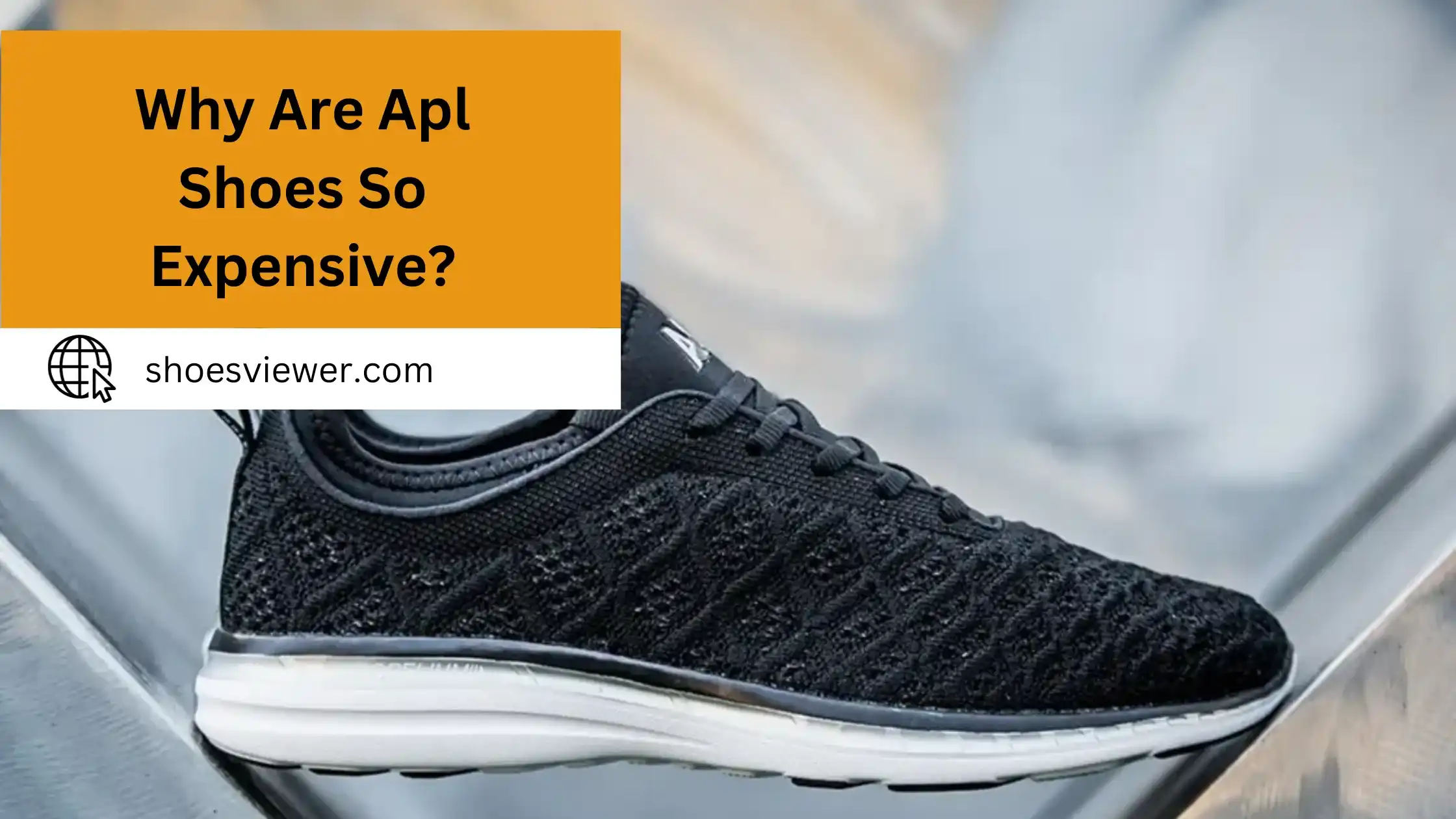Why Are APL Shoes So Expensive? Detailed Information